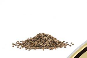 semillas de marihuana a granel 1 euro